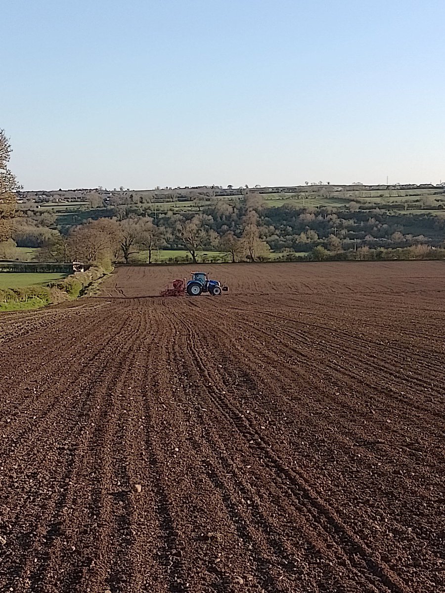 Addisons13's tweet image. Our first establishment of a BNG wildflower mixture and a fine day it is 🌞 #BNG #BiodiversityNetGain  #wildflower