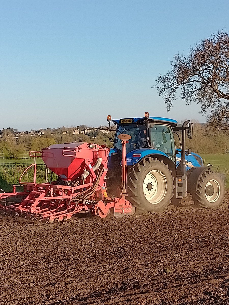 Addisons13's tweet image. Our first establishment of a BNG wildflower mixture and a fine day it is 🌞 #BNG #BiodiversityNetGain  #wildflower