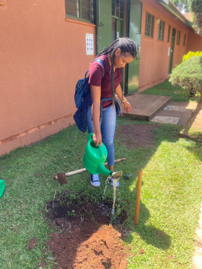 Tree planting is one of the quickest ways of mitigating #climatechange.
Trees play vital roles in our health and wellbeing like cooling down the environmental temperature, provision of oxygen among others.

#ClimateAction
#ActNow  #Together #TomorrowIsTooLate #HealthyClimate