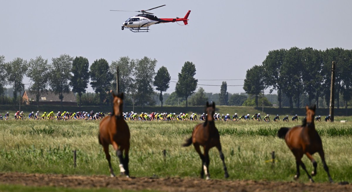 Schaal_Sels's tweet photo. Nog exact één maand tot een nieuwe editie van de Antwerp Port Epic! Hou je van wielrennen én spektakel? Dan moét je 21 mei vrijhouden.
Wist u trouwens dat er dit jaar voor het eerst ook een vrouwenversie van de Antwerp Port Epic komt? Men zegge het voort! @LottoCyclingCup https://t.co/8st6QjlJMt