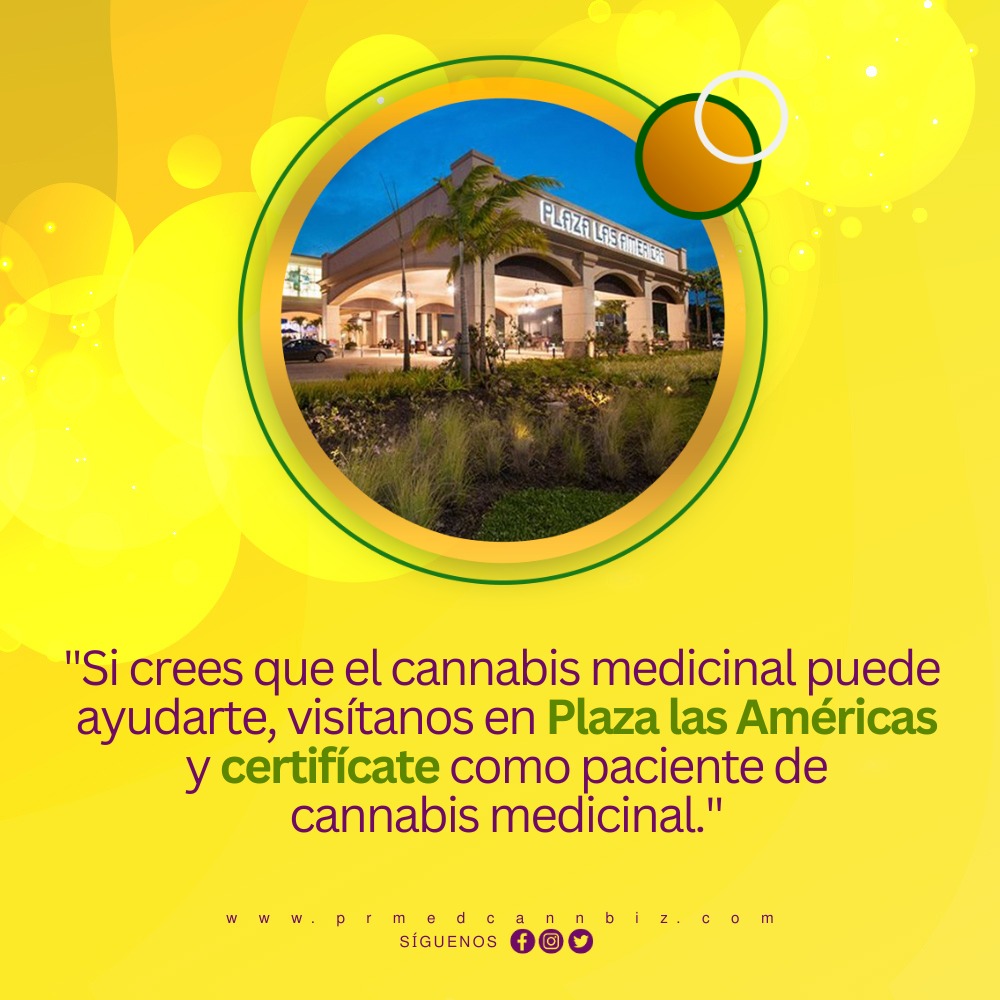 cannaworkspr's tweet photo. ¿Crees que el cannabis medicinal puede mejorar tu estilo de vida?

Si es así, ¡acércate hoy mismo a Plaza las Américas! Te invitamos a unirte a una gran comunidad, ven al lado de expertos, empresas y marcas que te esperan para asesorarte y brindarte toda la información. https://t.co/HwqBa7qjTN