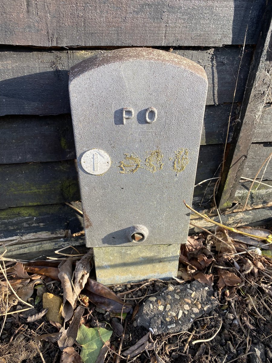 Guy Williams tweet media