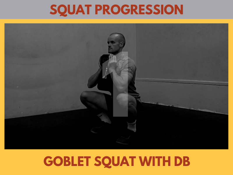 systemsinsport's tweet photo. 2 factors make Goblet Squats the easiest way to introduce squatting to a beginner... easier to coach than bodyweight squatting. 

Those factors are 1) provision of a strong constraint on lumbar spine posture + 2) low shoulder range of motion demands...
https://t.co/q2mVK4lLbP https://t.co/TpUy36ELID