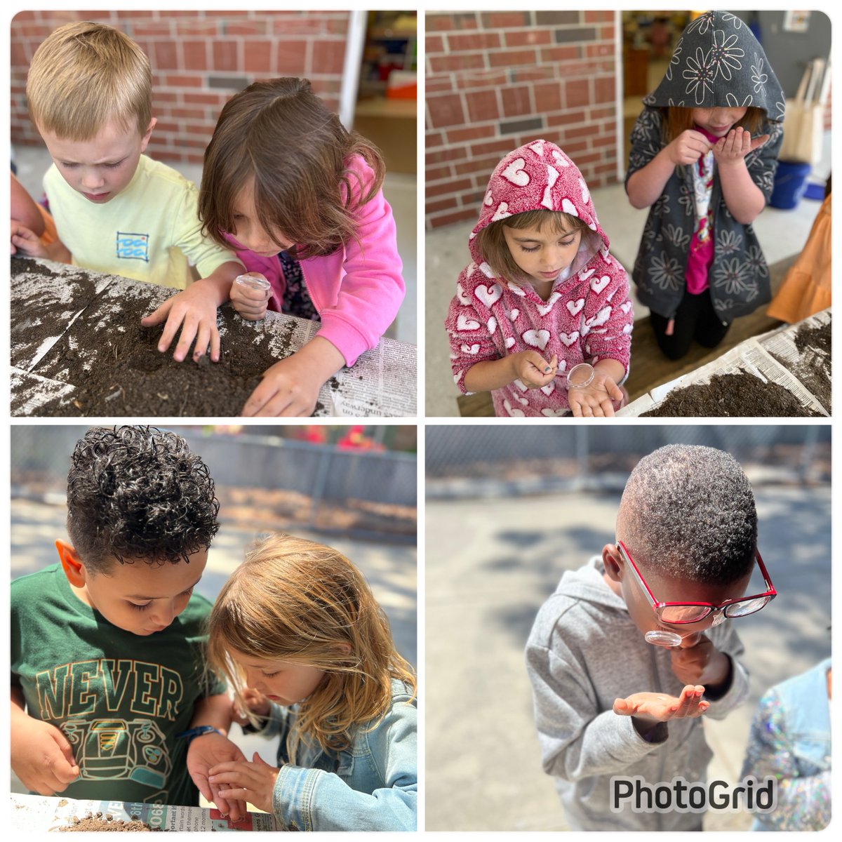paulamott13's tweet photo. In honor of #EarthDay2023 these #kinders #LPES used their #observational #skills as #scientists to #investigate what they could #discover in soil from #compost. Then we followed-up learning how they can create their own. #reduce #Recycle #reuse @vbschools @vbcpsdtal @KScarbs https://t.co/ADKjbvUG76