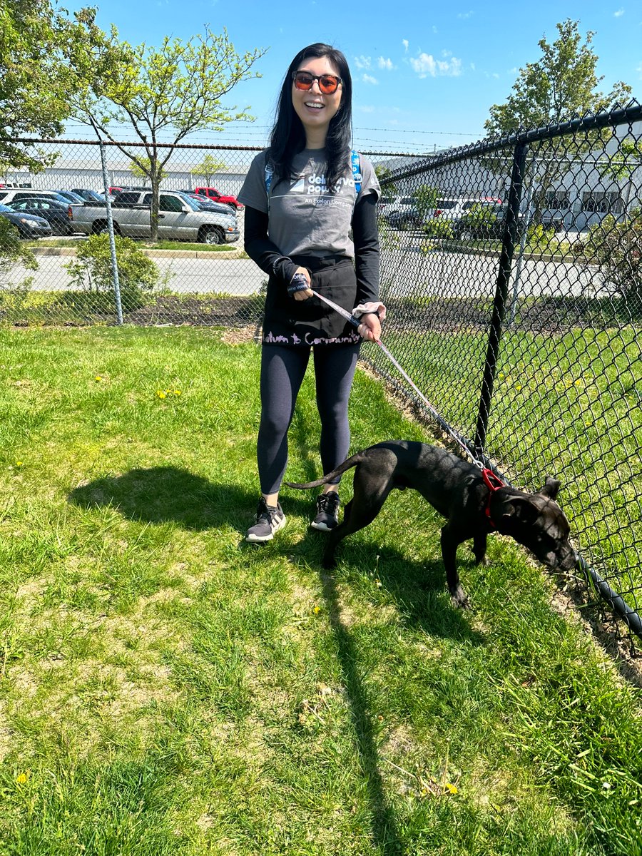 DelmarvaConnect's tweet photo. Thank you to the @BrandywineSPCA for giving us the chance to help out our furry friends this week! 🐶#EarthMonth #dogsoftwitter #NationalVolunteerMonth https://t.co/iH8AzWVD9l