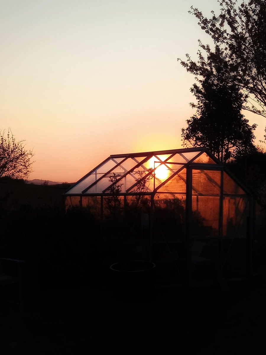 sadpandaprints's tweet photo. Come around sundown π
#sundownintheshire #sunset #springtimeinscotland #rurallife #countrylivin #comearoundsundown https://t.co/UgcnhFFLQ5