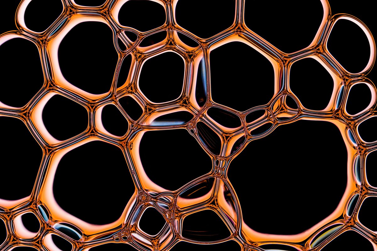 Sloika.xyz tweet media