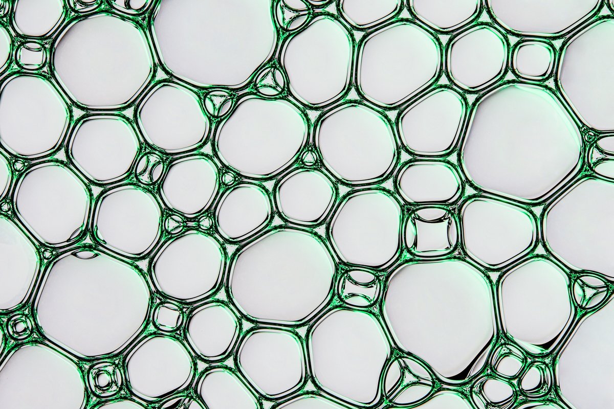 Sloika.xyz tweet media