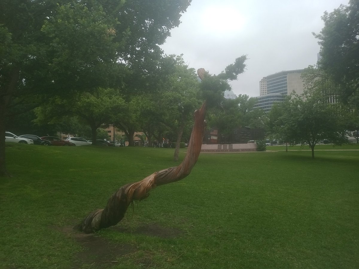 💚Stucco and the Rascally raccoon sidekick Bandit on Twitter: "So I left