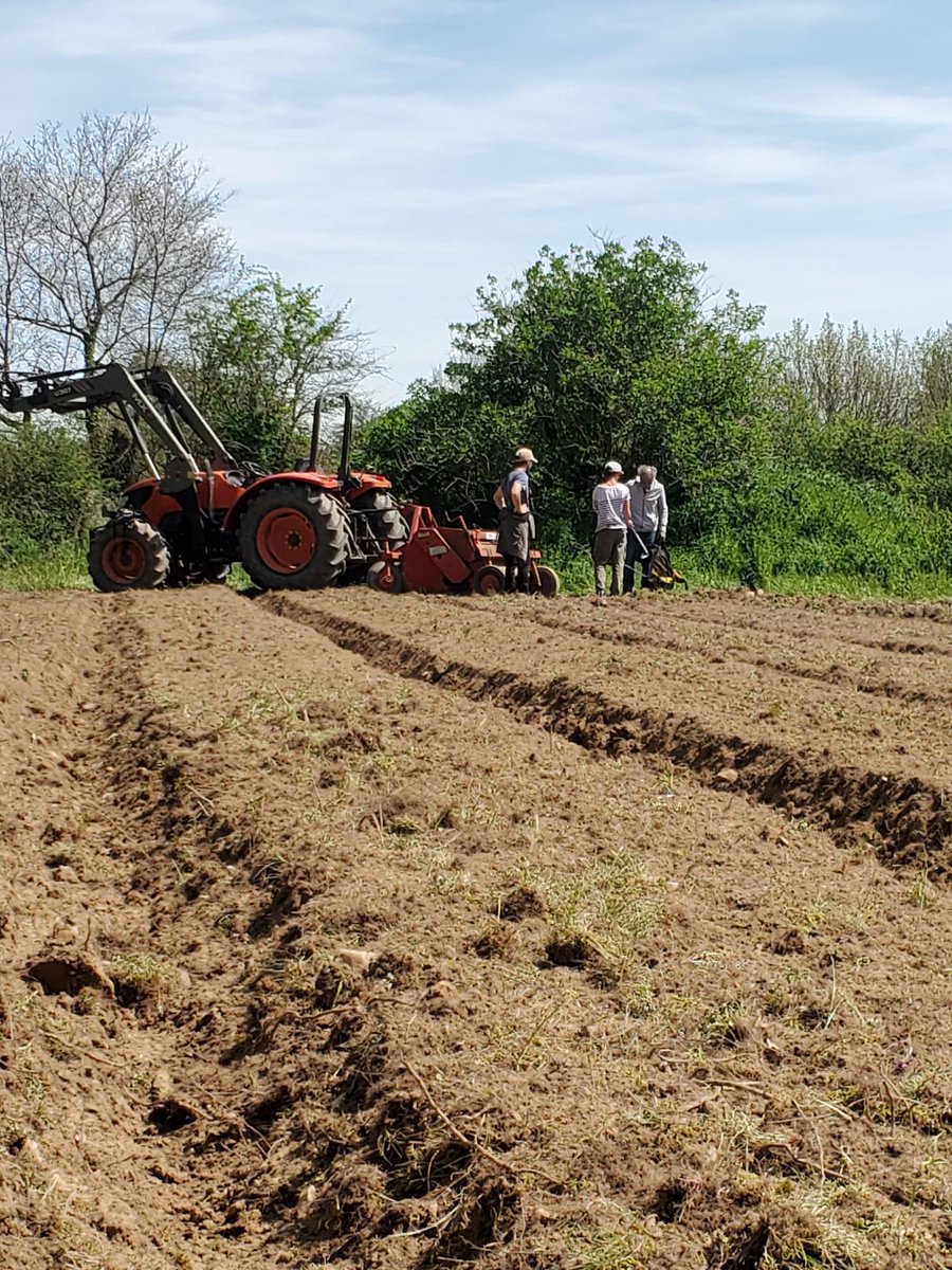 terresdeluttes's tweet photo. 🎪 Le camp est monté sur le tracé de l'autoroute, les bolides sont entrain d'être construits et le travail de la terre pour les jardins partagés à commencé!
✊ Rejoignez la manifestation: rdv demain à 12h sur le camp!
📲 Boucle d'infos telegram https://t.co/jdAk0ca8ra
#StopA69 ⛔️ https://t.co/vHjDFBH7yW