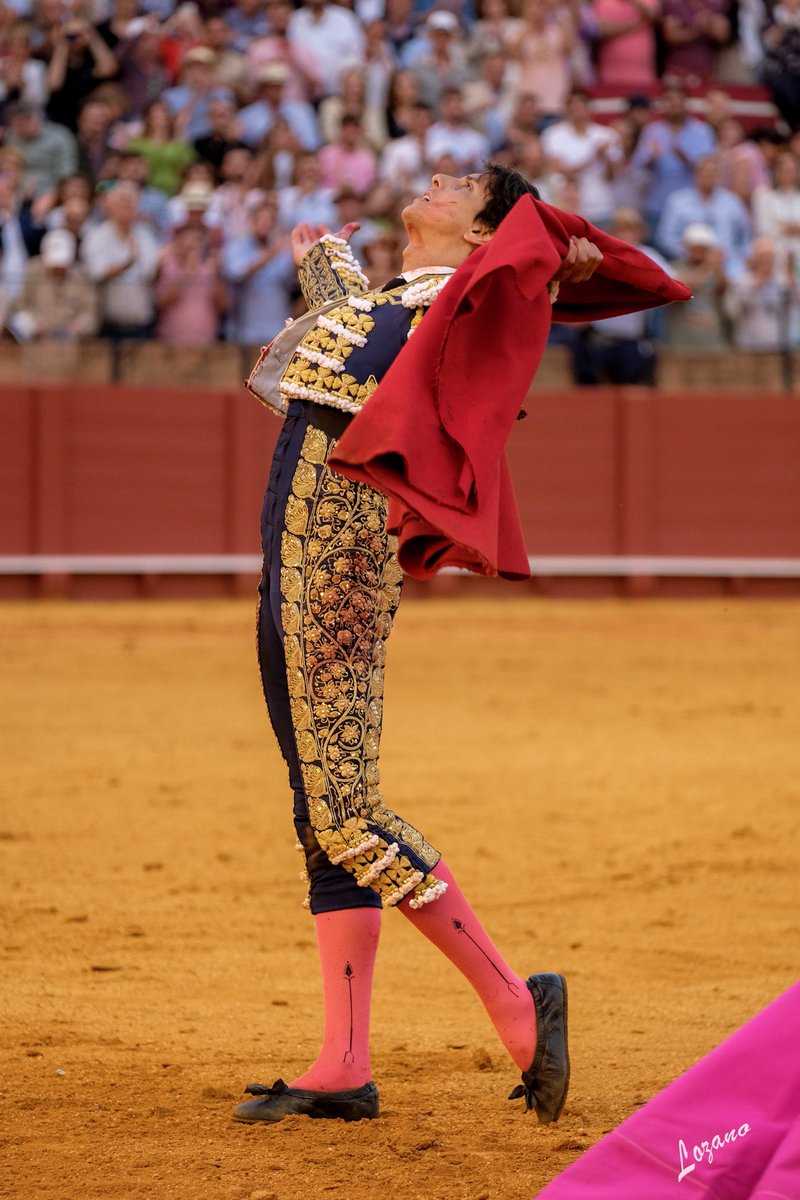 Galería fotográfica  📸 del segundo 🐂 en @maestranzapages by @Joserralozano 4/4

Una imagen