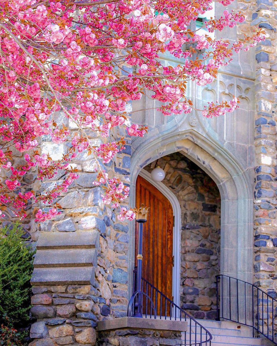 🌼
𝟚𝟛₀₄𝟐𝟏

🌹🌹🌼🌼
Distance, though it may seem an insurmountable obstacle, is not necessarily synonymous with absence, as true relationships can stand the test of time and distance, and continue to grow in intensity and value.
*Noah Johnson.