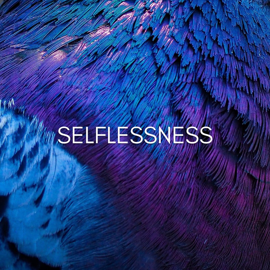 The Pulse – April 22nd – 27th 2023 – This week we enter the field of selflessness through Gene Key 27. How do we drop the ’Self’? What indeed is the ’Self’? 

Listen to the audio: bit.ly/43OmARh

#genekeys #genekey27 #altruism #selflessness #thepulse