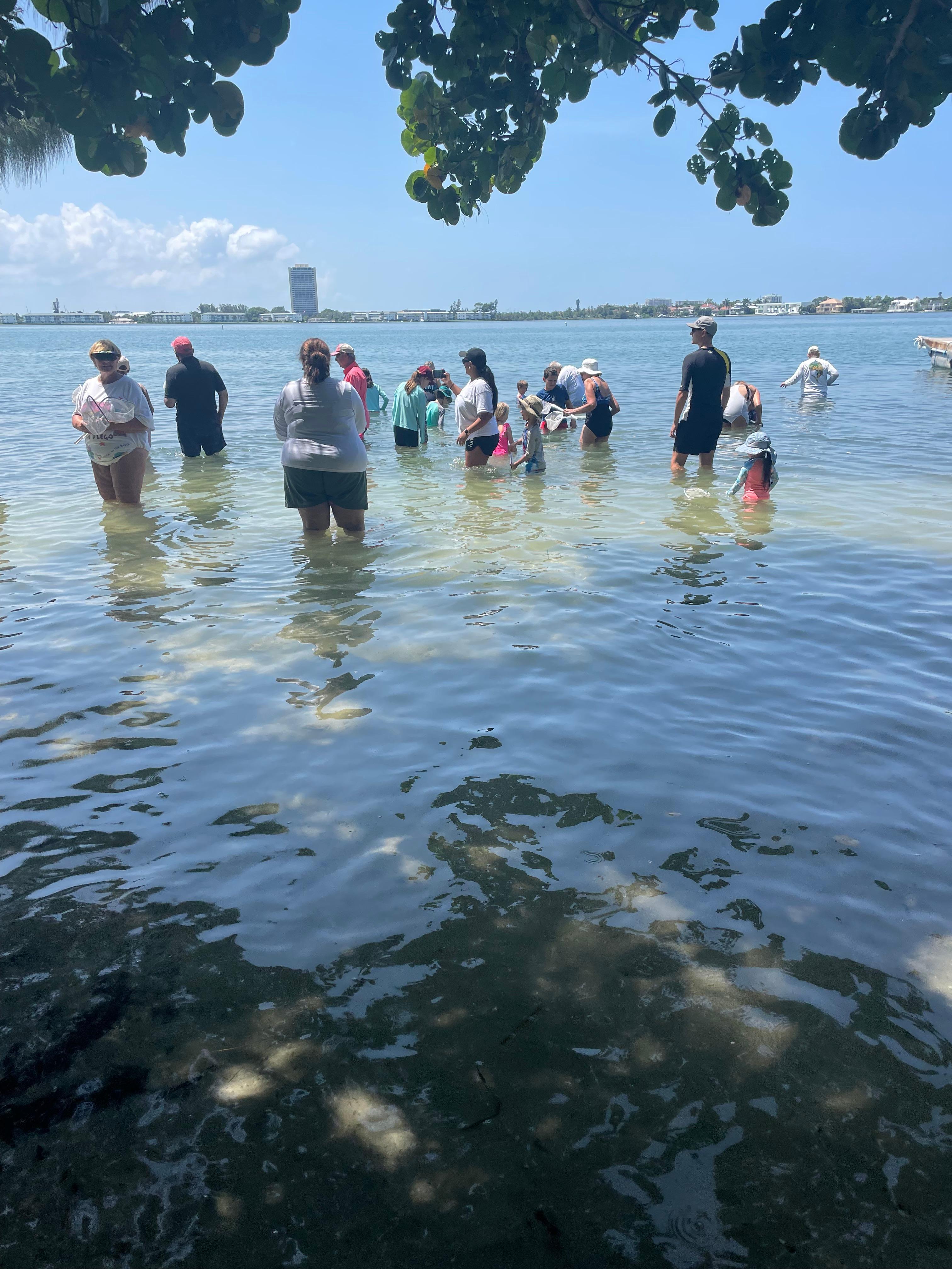 Mote Marine Laboratory & Aquarium (MoteMarineLab) / Twitter