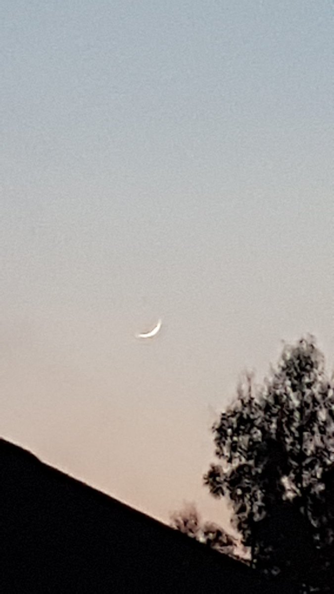 Paki Blinder tweet media