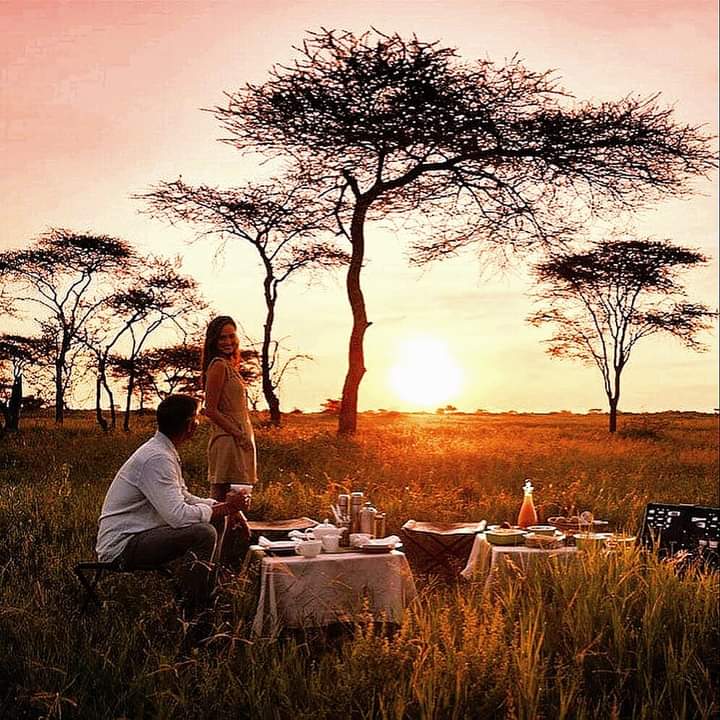 Enjoy your Vacation in Tanzania with our teams. Contact us for more information.
#tanzaniasafari #travelphotography #africantravel