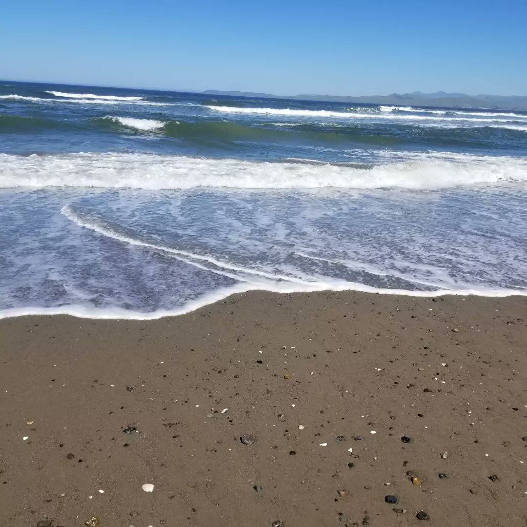 robbie13th's tweet photo. Just back from 4 mile walk to beach and around harbor. #BeautifulSpringDay ππβοΈβ± https://t.co/HpZ7Yf4qWV