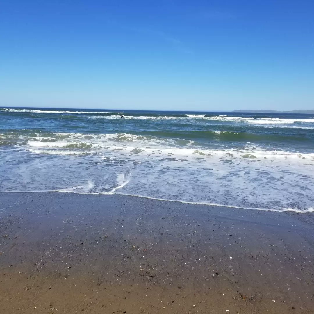 robbie13th's tweet photo. Just back from 4 mile walk to beach and around harbor. #BeautifulSpringDay ππβοΈβ± https://t.co/HpZ7Yf4qWV