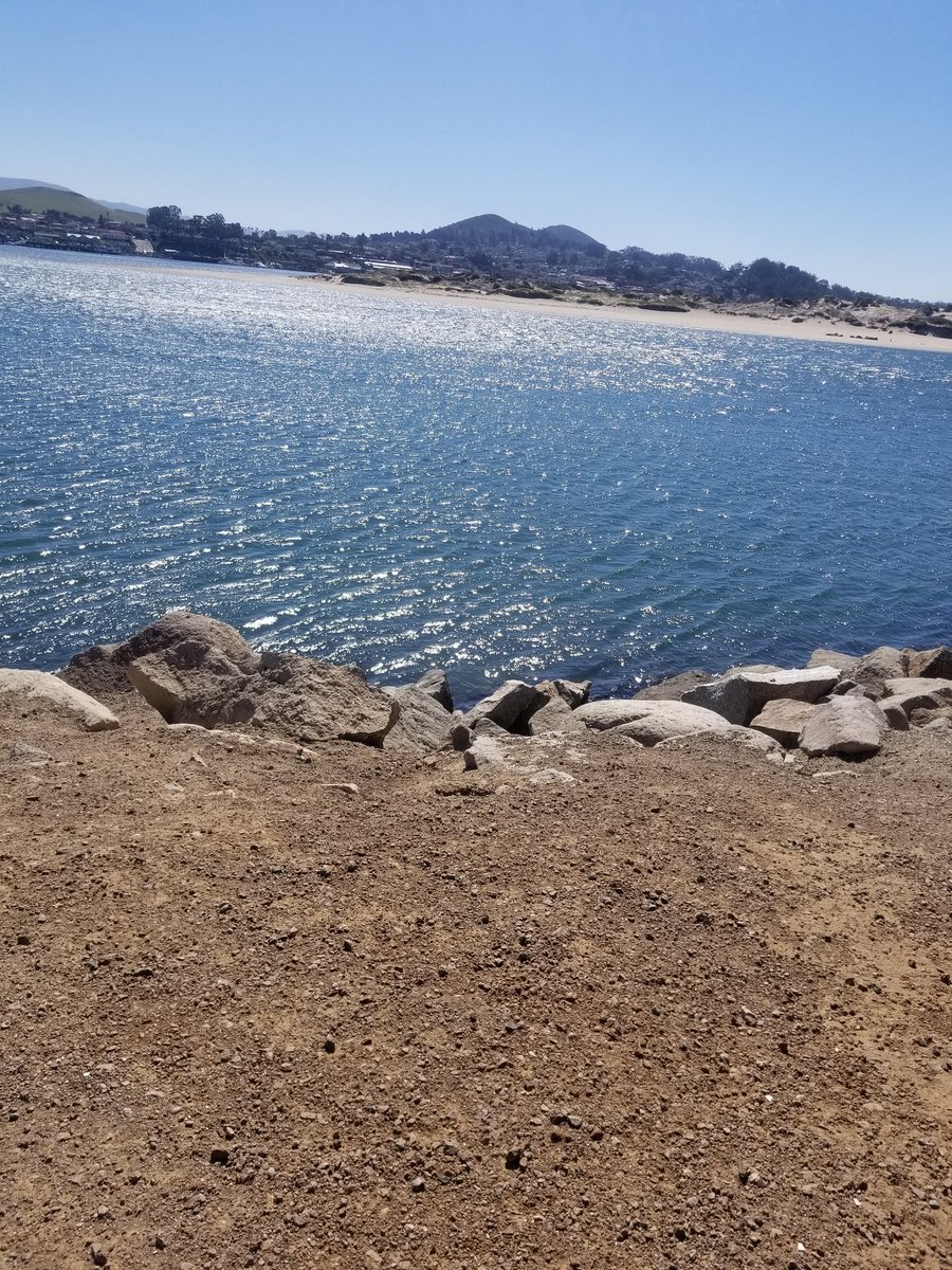 robbie13th's tweet photo. Just back from 4 mile walk to beach and around harbor. #BeautifulSpringDay ππβοΈβ± https://t.co/HpZ7Yf4qWV