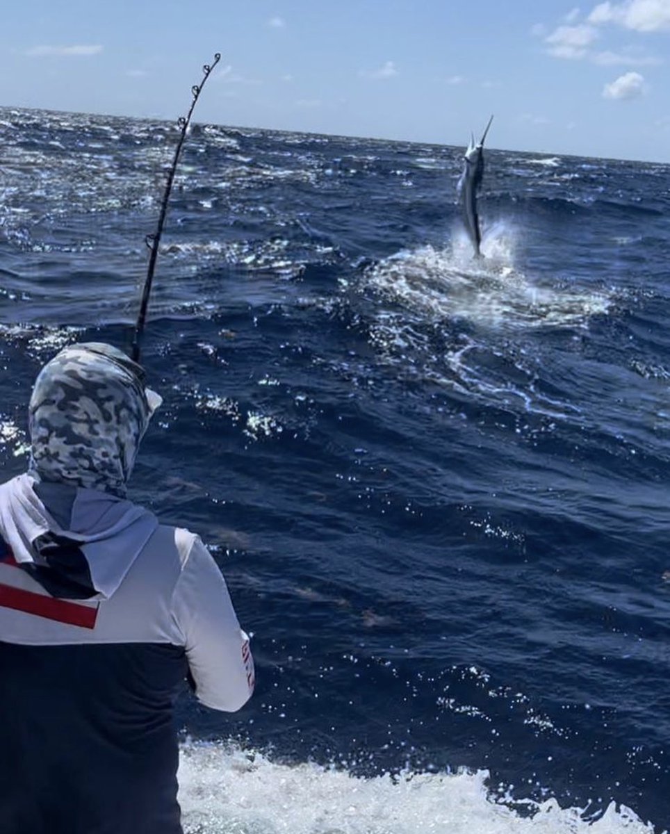 TagBillfish's tweet photo. Look at this epic shot taken by @marinacapcana at the end of March! This is what it's all about!
Thank you for your support in the 2022 Annual TBF Fundraiser!
#capcana #marinacapcana #sportfishing #tagandrelease #billfishreport #billfishreports #tbf #billfish https://t.co/XWOnaEtd3h
