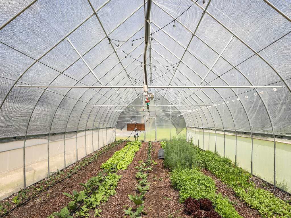 BootstrapFarmer's tweet photo. Don't let your farm suffer from the sun's rays - protect it with shade cloth! Reducing water and energy usage while protecting your plants? Now that's efficient. 
shop:  https://t.co/9MqUTs7YUH https://t.co/SgWhTKalbf