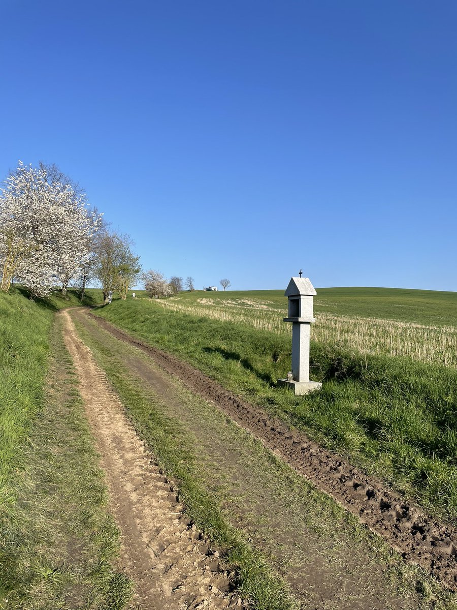 Lucias2106's tweet photo. Uznejte.. Je to nádhera. Kilometry nic moc, ale člověk se raduje. Rally, Šumava, běh a příroda.#sumavarally
#welovesumava #nature #filipmaresrally #running #runforfun #nofilter #nenudimse https://t.co/thN8OTvRxM