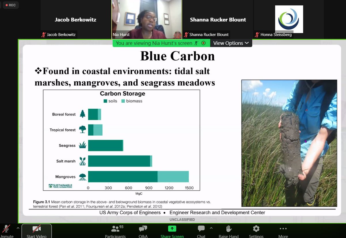 Jacob Berkowitz, PhD & wetlands_team tweet media