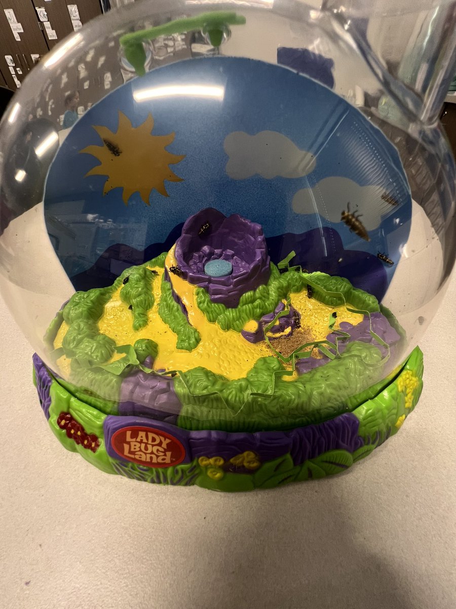 Ms. Lowery tweet media