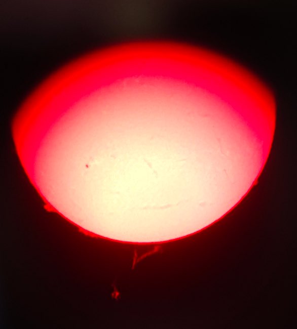 LibraryofMich's tweet photo. Thanks to @spacescienceins for our Solar Eclipse Activities for Libraries (SEAL) trainings in Michigan this week! We even had an amazing look at the Sun. #STEMinLibraries #SolarEclipse ๐ https://t.co/pkgOxBzmaH