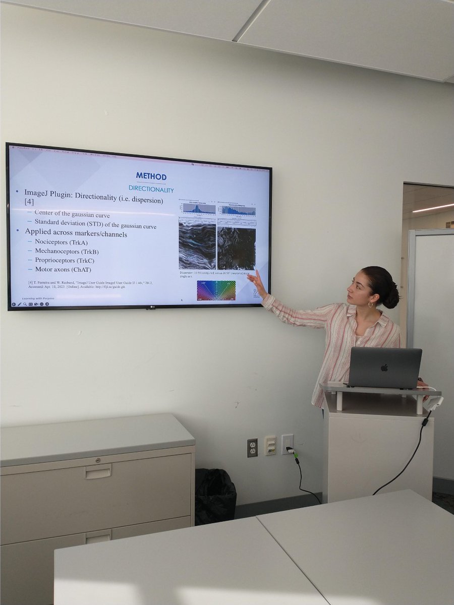 PainResearchUML's tweet photo. Congratulations🎊 to senior undergrad Mariam Peralta Valenzuela on presenting the cumulation of her Research Experience II "Asymptomatic verses symptomatic peripheral neuroma" to the #biomedical #engineering department today!! #research @UMLResearch @BiomedicalUml @UMLEngineering https://t.co/zLp0AL0zzB