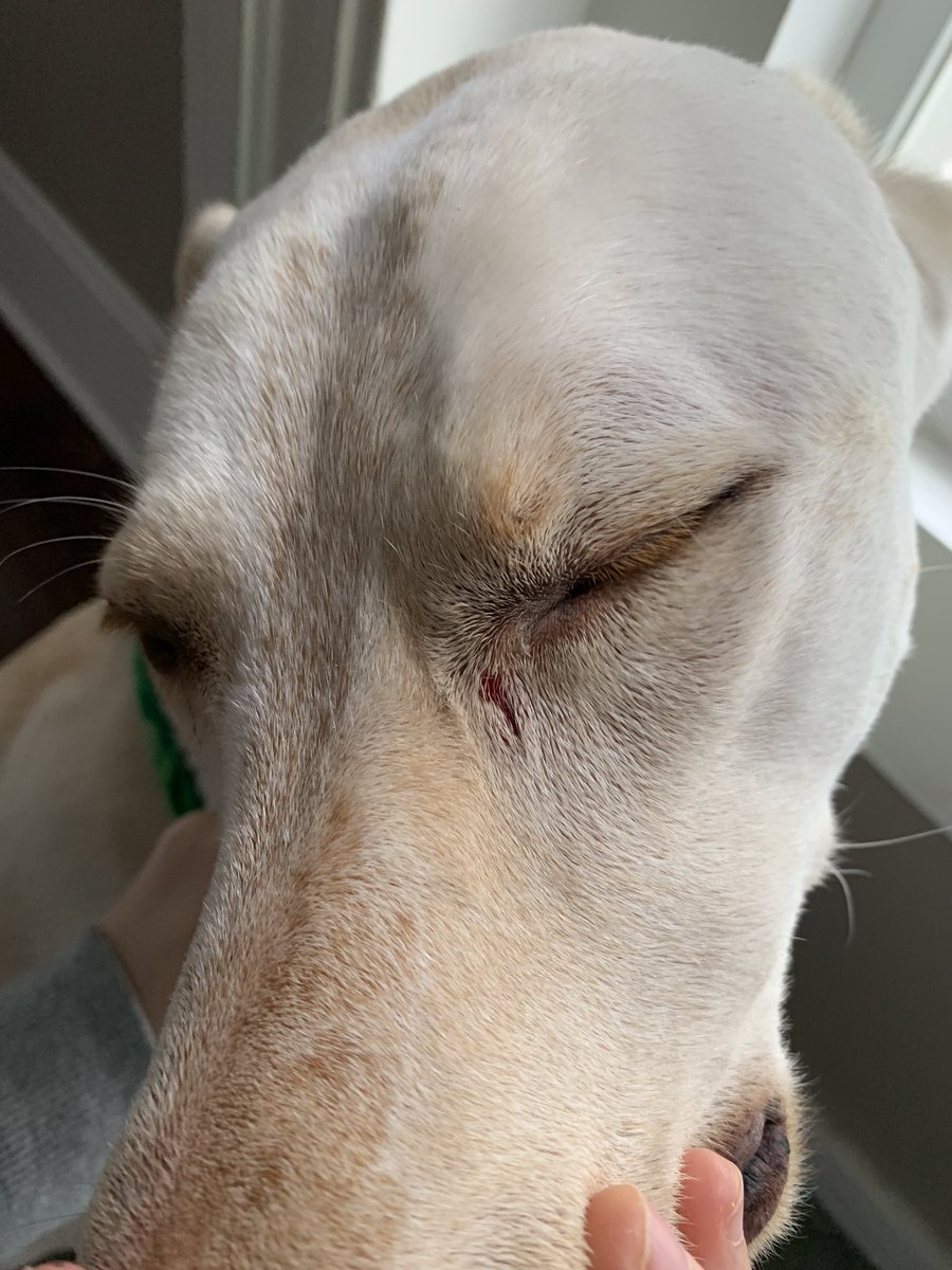 duncan ohio tweet media