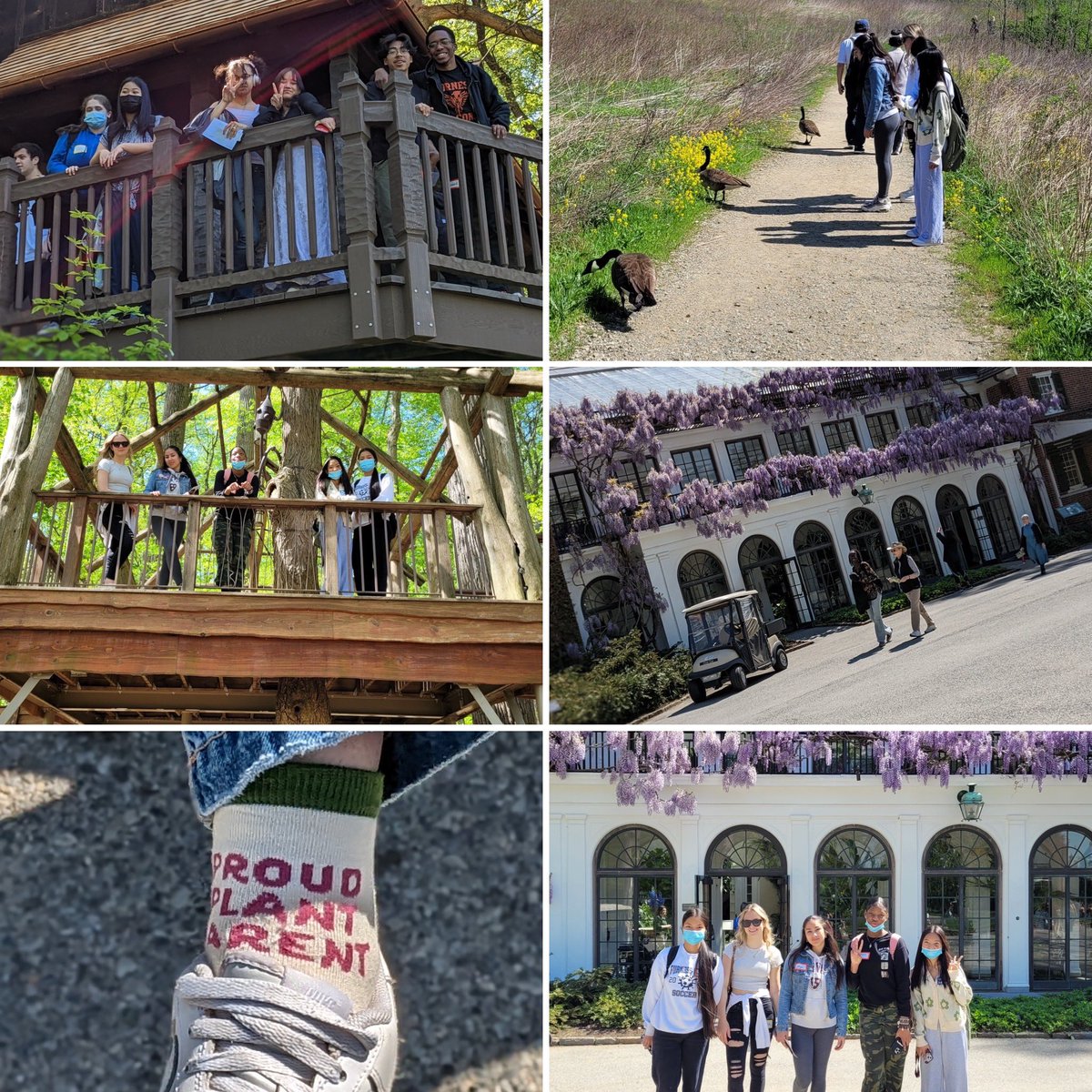 FurnessHigh's tweet photo. The Biology classes took a trip to Longwood Gardens yesterday and explored nature while learning about careers in horticulture! 🪴🌱@PHLschools @SDPLN13 https://t.co/E23dv7X6y6