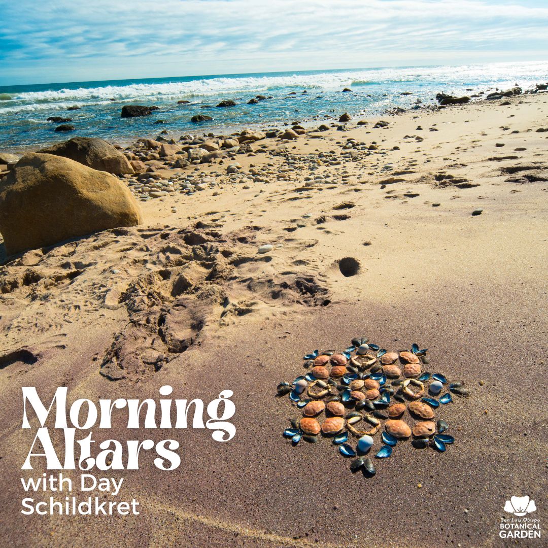 SLOBG's tweet photo. "By honoring the sacredness of the earth and its cycles, we find our own place in the grand tapestry of life and cultivate a profound sense of gratitude for the world around us."

Join Day Schildkret TOMORROW as he helps us connect Nature, Art and Ritual for Earth Day. 🌿 https://t.co/KDweaUFauj