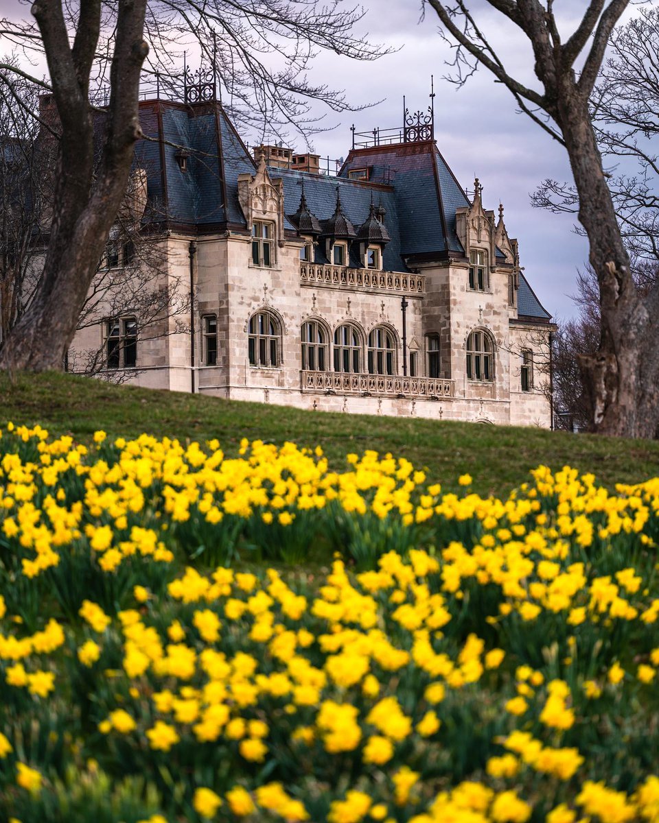 RITourism's tweet photo. Spring has arrived in Newport, Rhode Island, so it's time for Daffodil Days! πΌπΈ
πΈ @andrewj_brooks
#NewportDaffodilDays #SpringInNewport
#DaffodilFestival #DiscoverNewport #RhodeIslandEvents https://t.co/aJH6pipJyF