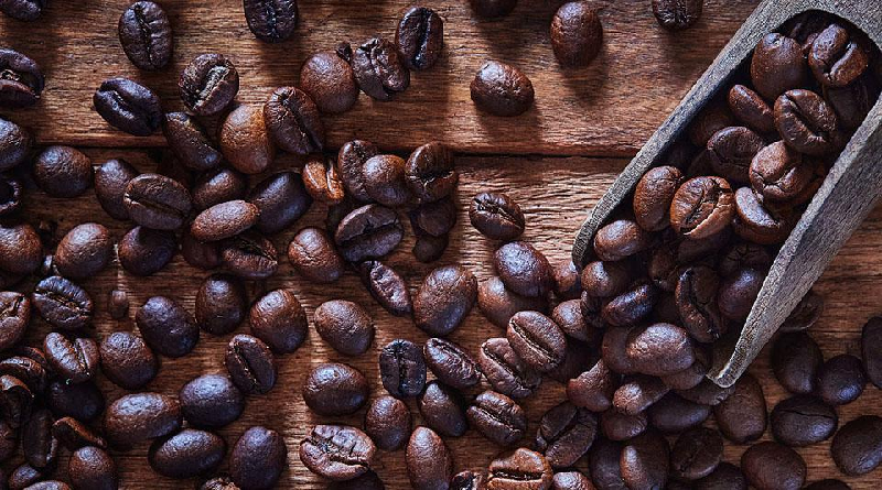 noticierovv's tweet photo. #Economía | Participación de caficultores de Yaracuy será importante en evento de Segundo Encuentro Internacional del Café 2023

Más información aquí: https://t.co/tN1W9SCVs3

#NoticieroVV #21Abr https://t.co/3XG3Sb6Ytx