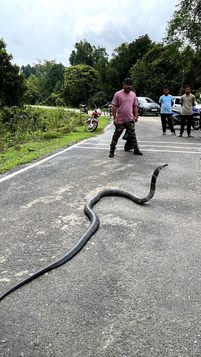 DEVAJIT MORAN #IAmDehingPatkai #Protectmetoo tweet media