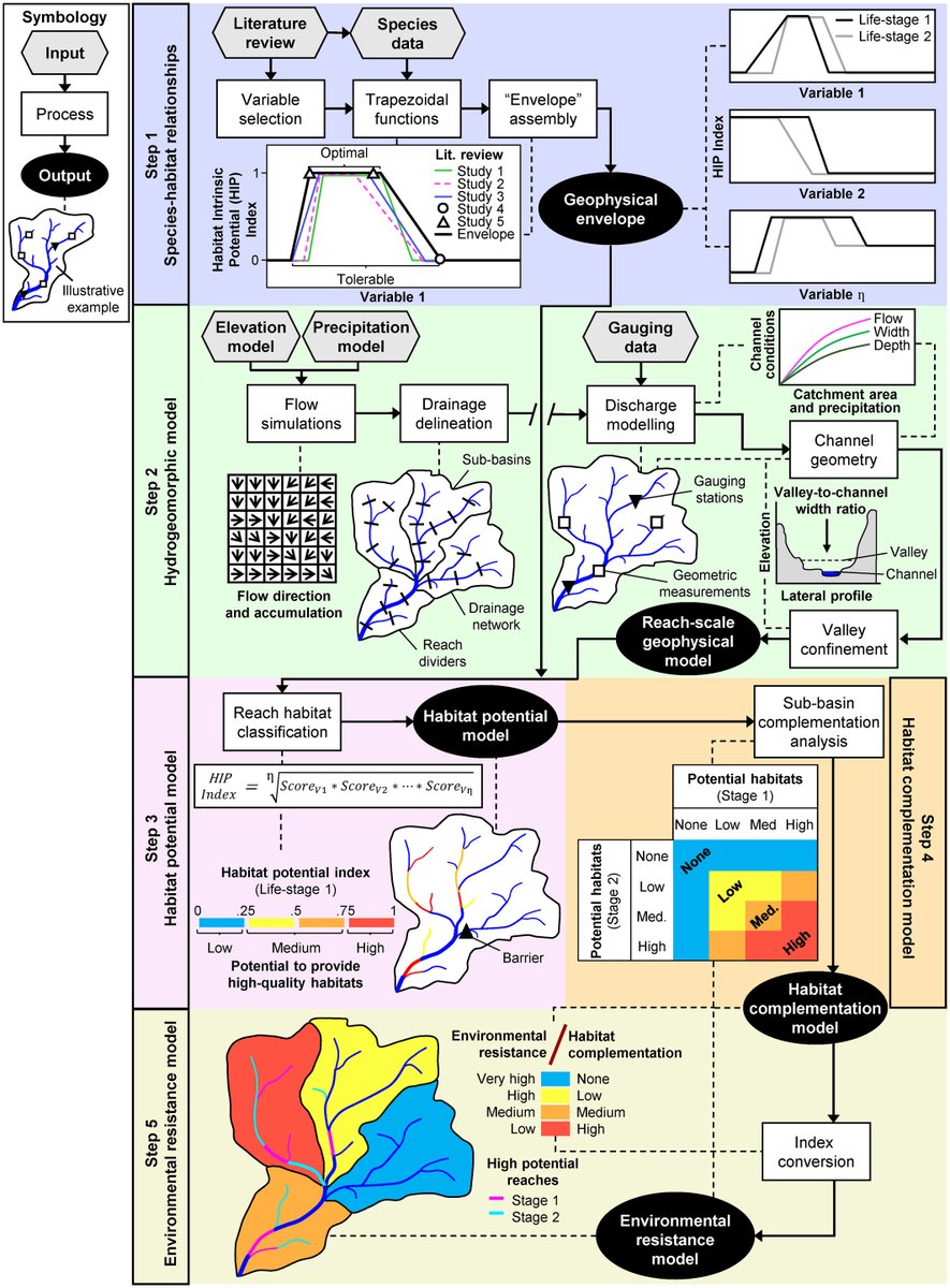 Freshwater invasions pose a global #conservation threat, but #biogeographical analyses can aid in effective management. A new method proposes an environmental resistance model for stream ecosystems, revealing insights for invasive species research.

doi.org/10.1111/jbi.14…
