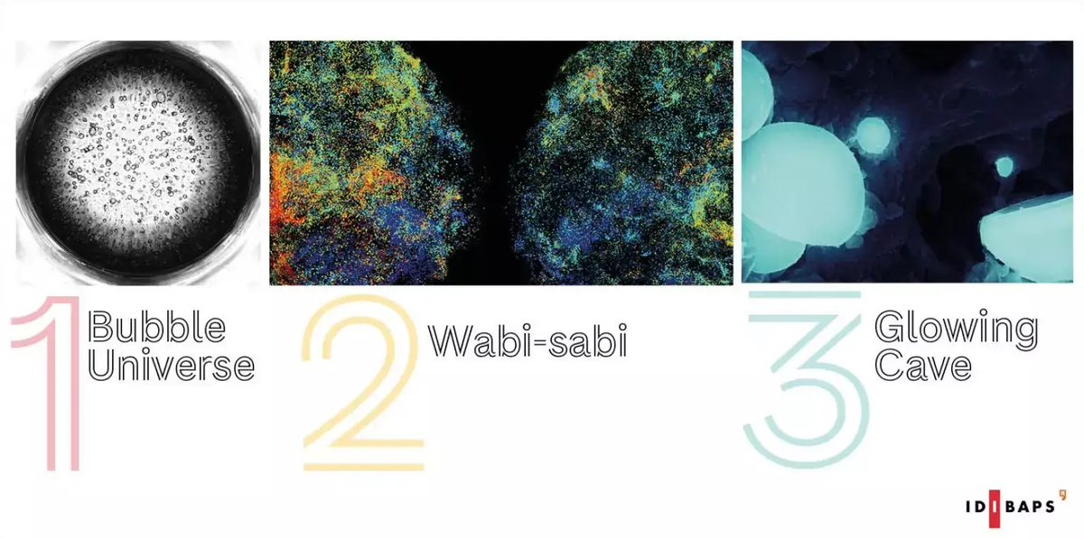 Campus Clinic has celebrated today St George’s Day. During the celebrations, the IDIBAPS Photography Competition winners were announced:

1: Bubble Universe, by Verónica Villagrasa 
2: Wabi-sabi, by <a href="/SaulPascual/">Saül 🪐</a> 
3: Glowing Cave, by Alejandro Hinojosa

👉 ow.ly/9jmb50NPaXZ