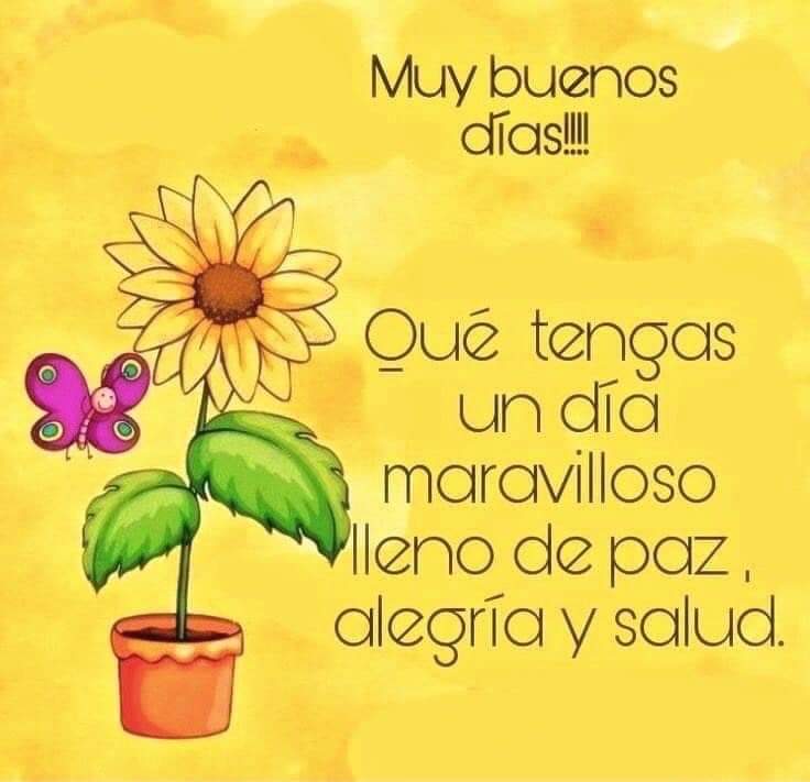 sheyla (@sheyla_nath) on Twitter photo 