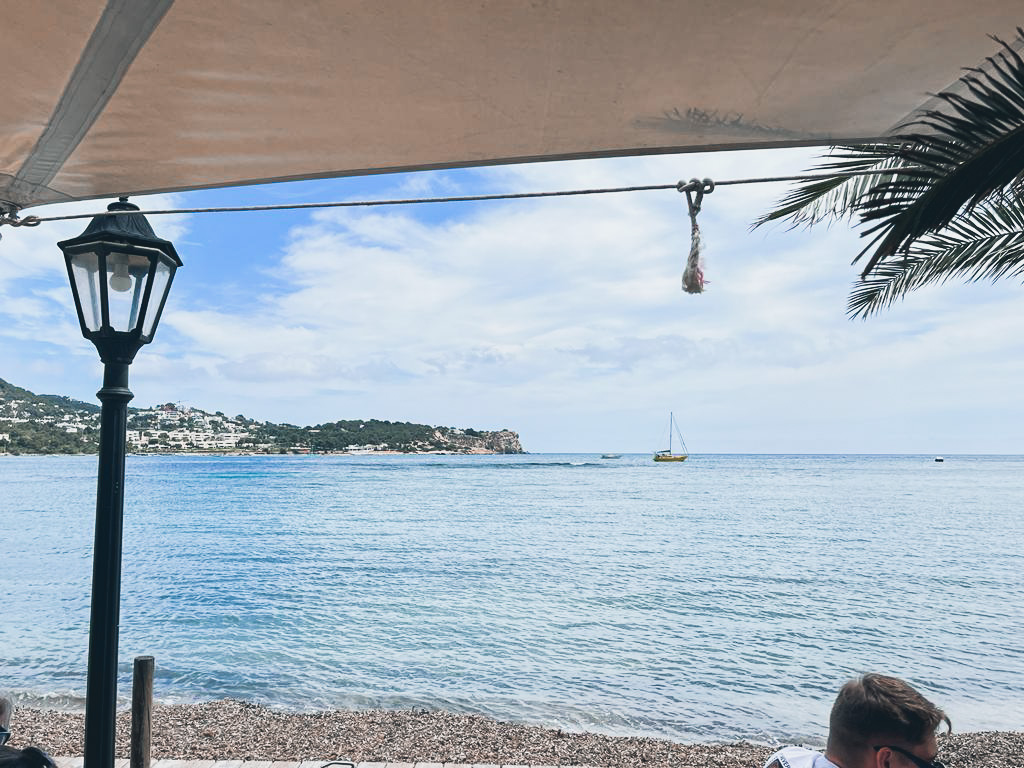 Black Cat Building Consultancy tweet media