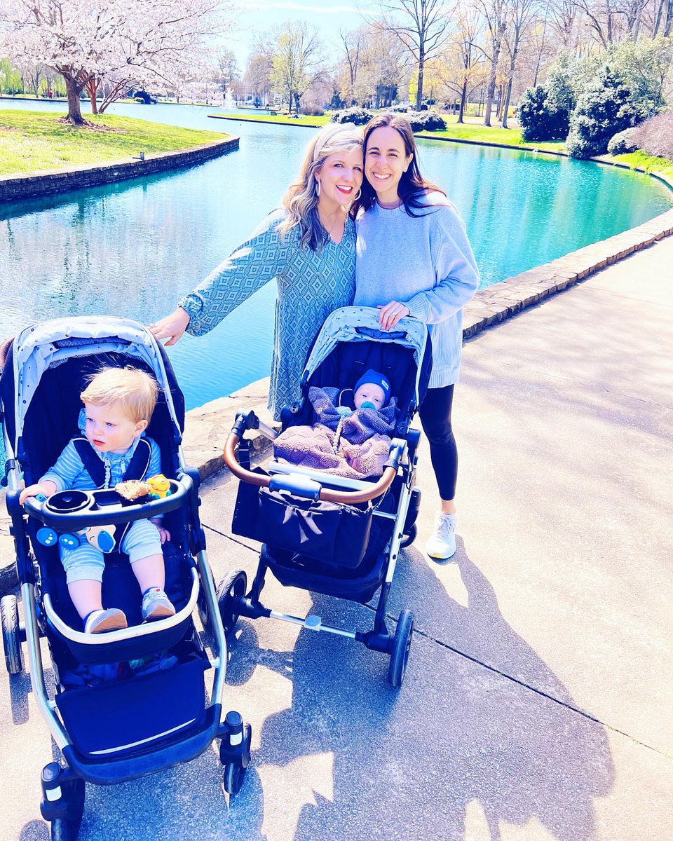 Mockingbird tweet media