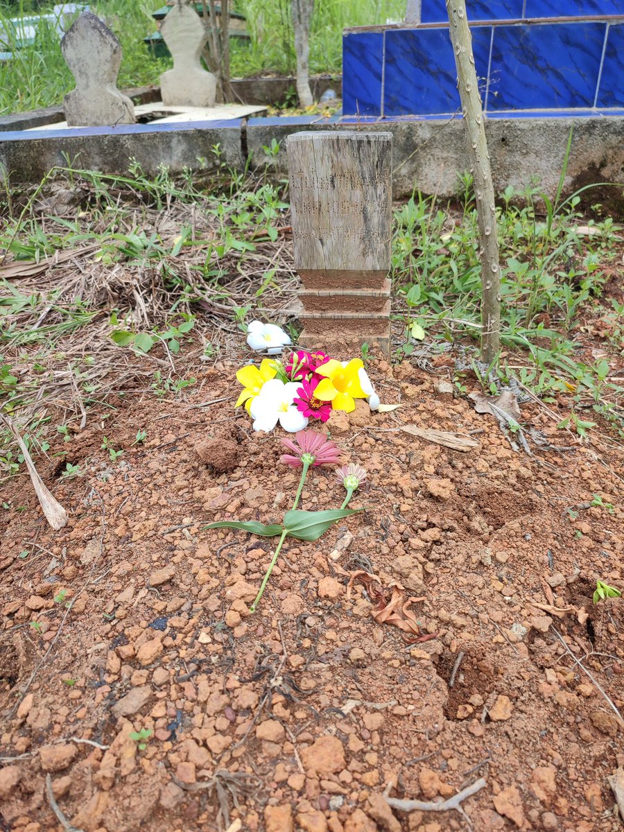 Anggunika_'s tweet photo. Selamat lebaran bu. 
Aku kangen soto buatan ibu ☺ https://t.co/J2av4BwbwN