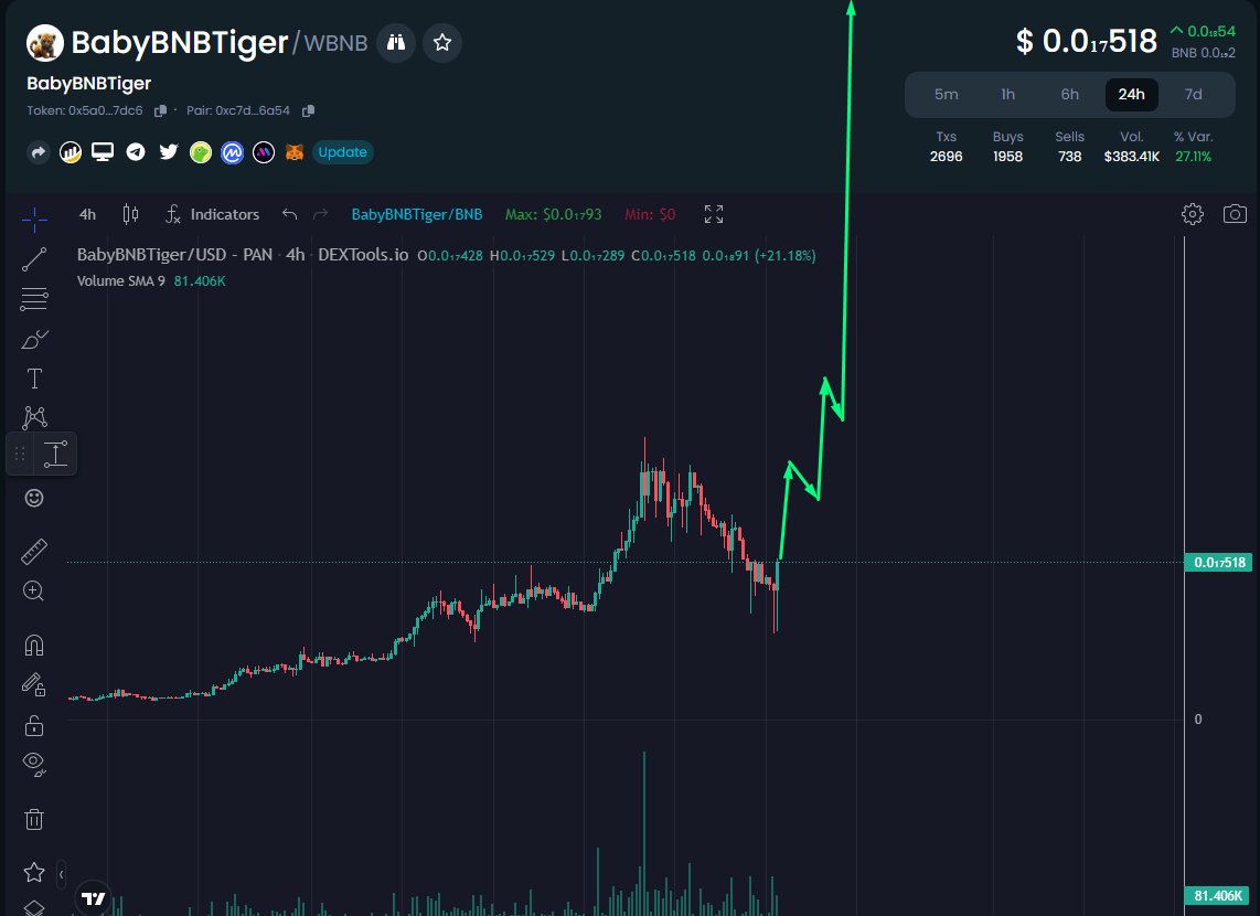 BabyBNBTiger tweet media