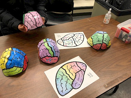 6 mai-MONTRÉAL-Qu'est-ce que la neuroscience ? #24hdescience #odysci  <a href="/BrainReach/">BrainReach - Mission Cerveau</a> science24heures.com/programmation/…