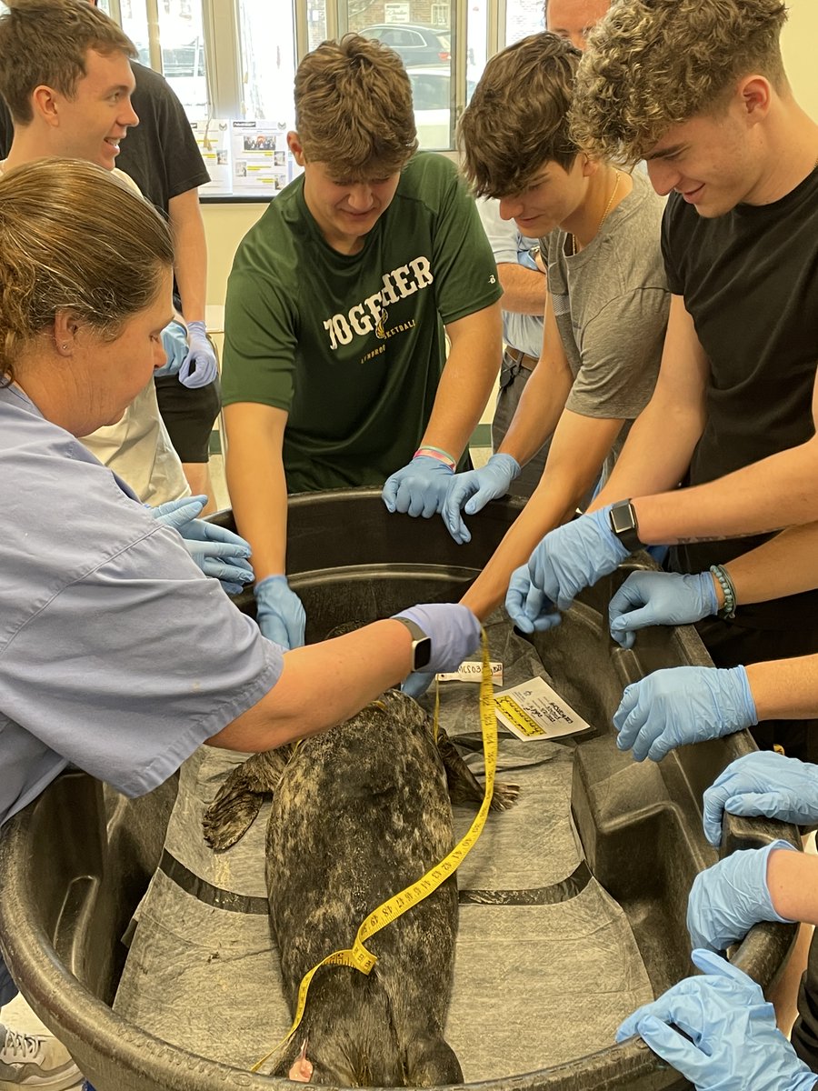 Lynbrook Owls Supt tweet media