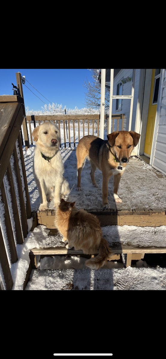 Amber Danderfer tweet media