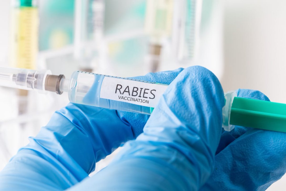 helpinghandsjh's tweet photo. Access to rabies vaccine at Sbg govt hospitals is severely limited, leaving people unable to complete their doses due to supply shortages. Patients r forced to pay exorbitant fees at pvt hospitals. Request you to please address this urgent issue.
@HemantSorenJMM @Anant_Ojha_BJP https://t.co/bSeKao7eXI