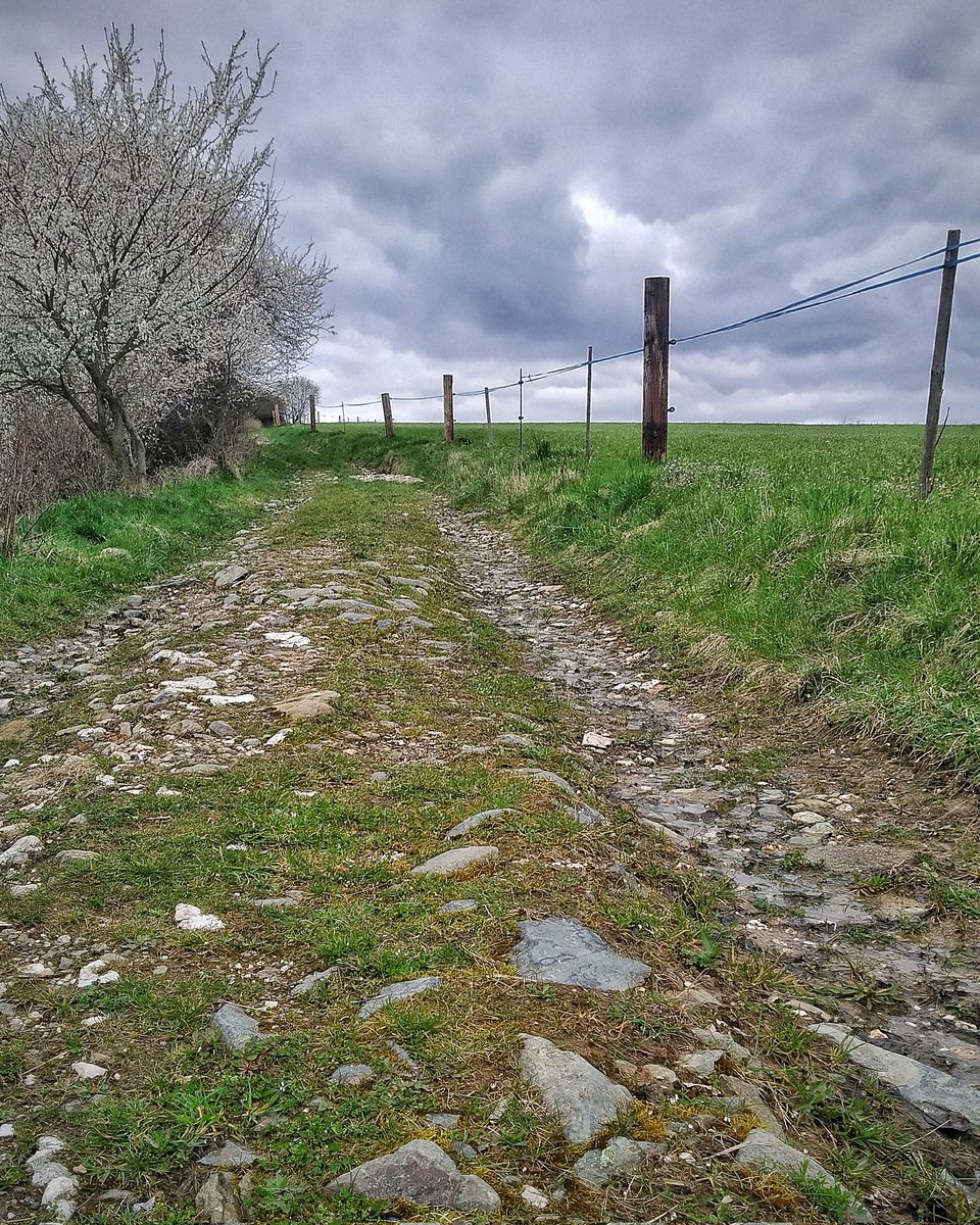 Zpravyzmesta's tweet image. Sobota bude možná i bez deště!
Kam si to naplánujete? Nějaký pořádný trek do přírody nebo raději k Jiřímu na atrakce?
#plzen #pout #svJiri