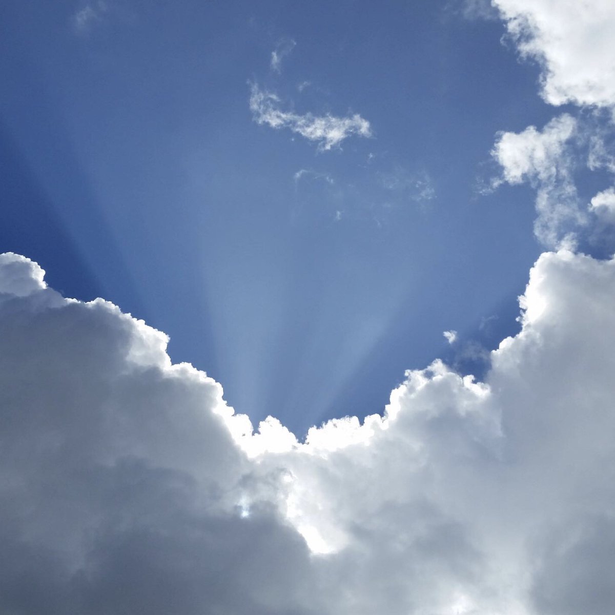 CorDevelopment's tweet image. Cloud Lift Infrastructure As Code As a Service

Cloud Lift helps teams free themselves from brittle, hard to manage deployments. In as little as one month, your team will be able to ship code reliably with Cloud Lift’s Infrastructure as Code approach.