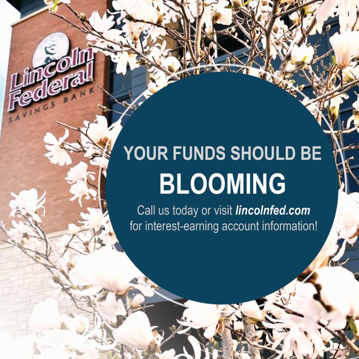LFSBank's tweet photo. Your funds should be blooming! Visit https://t.co/vjhiQbfTK1 or call us for more information.

Products include: 
- Small Business Checking &amp; Savings
- Personal Checking &amp; Savings
- Certificates of Deposit
- SO MUCH MORE! https://t.co/yVOcjiUdGe